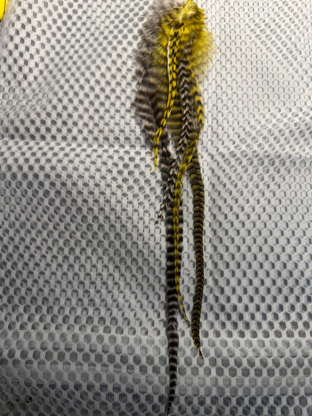 Feather Hair Extensions in Yellow and Black
